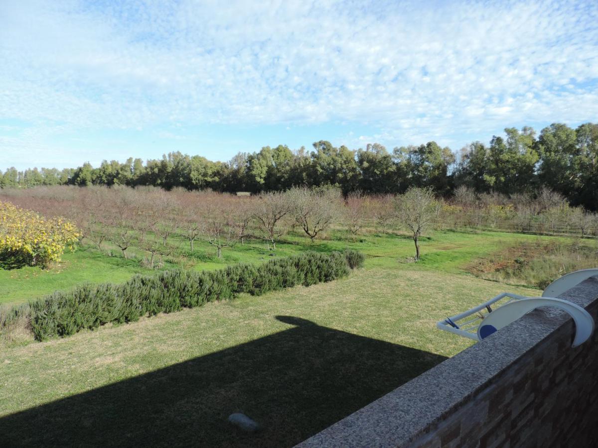 Agriturismo I Doni Del Mandorlo Альгеро Экстерьер фото